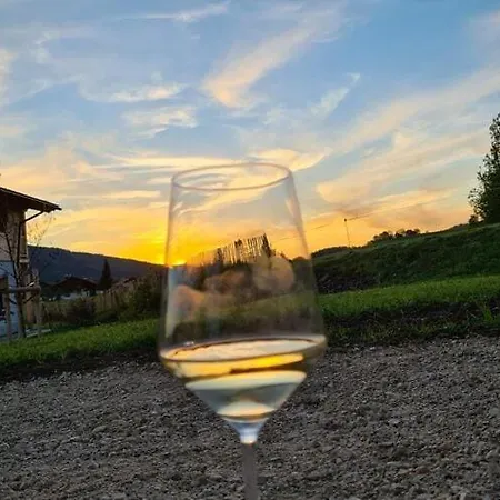 Gamsknogel Mit Privatem Pool Chalet